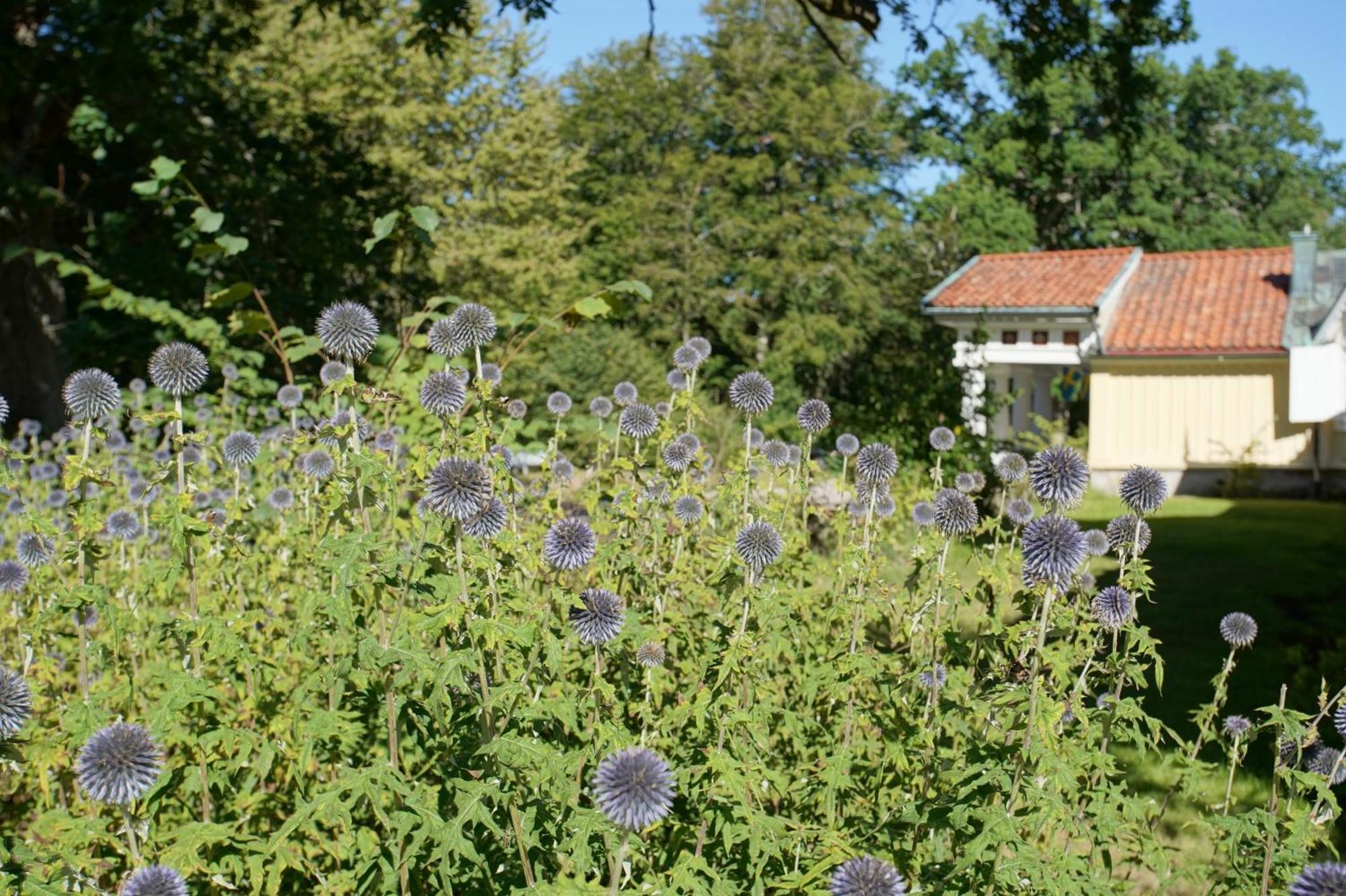 Skärva Herrgård Karlskrona Exteriör bild